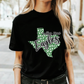 VALLEY VIEW EAGLES tee