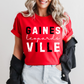 GAINESVILLE LEOPARDS tee