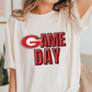 GAME DAY LEOPARDS tee