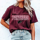 WE ARE THE PANTHERS tee