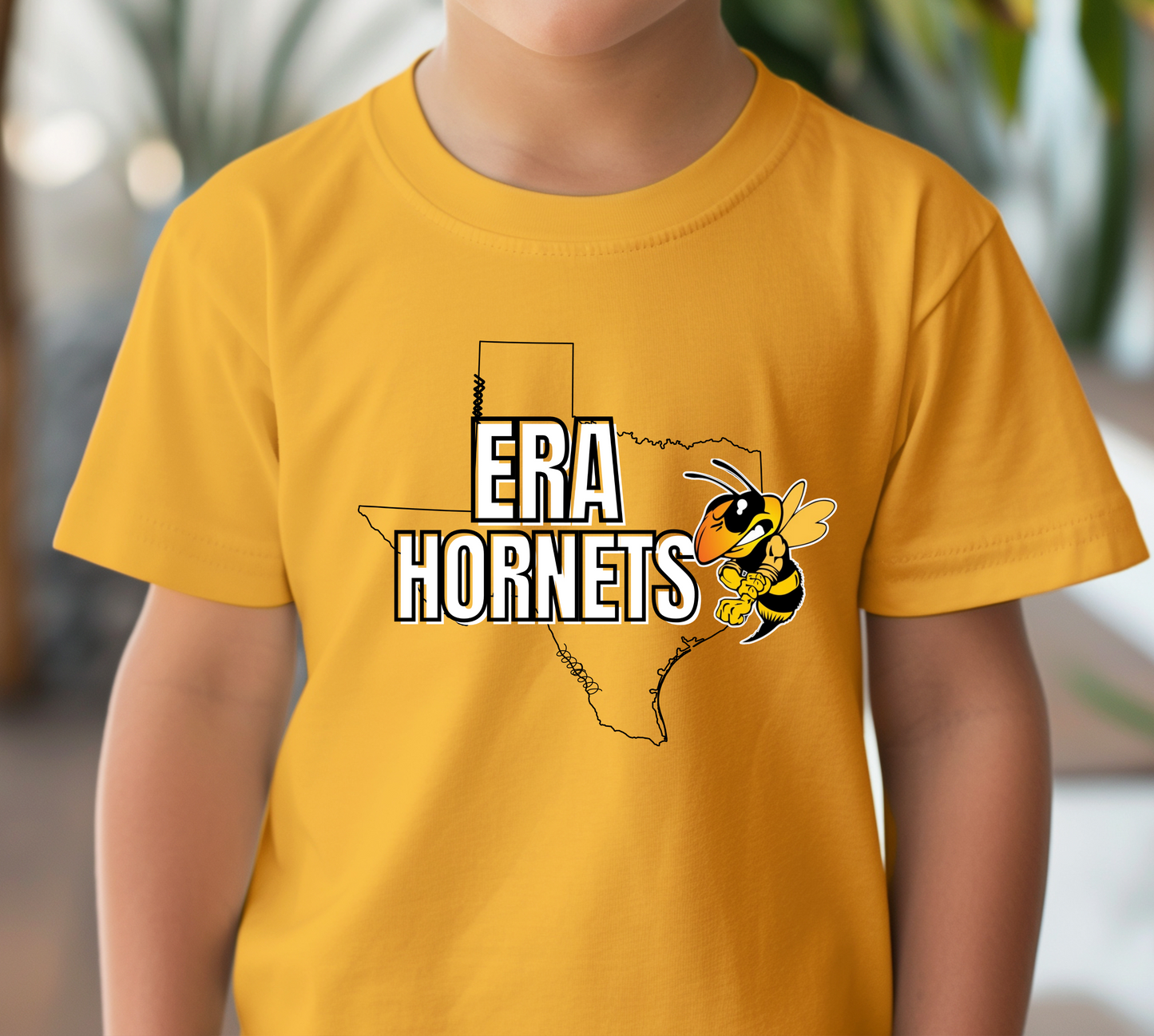 Youth ERA HORNETS Vintage Top